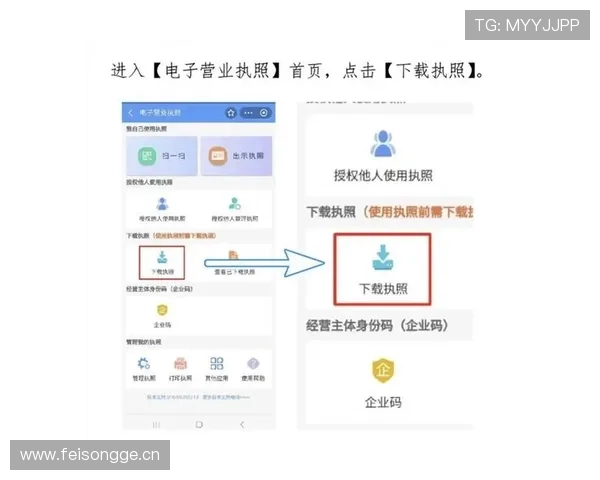Kaiyun开云app登录流程详细指南助你顺畅进入账号