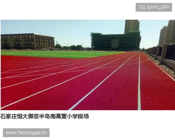 登陆半岛体育登录入口，尽情享受丰富的体育内容和优质的用户体验