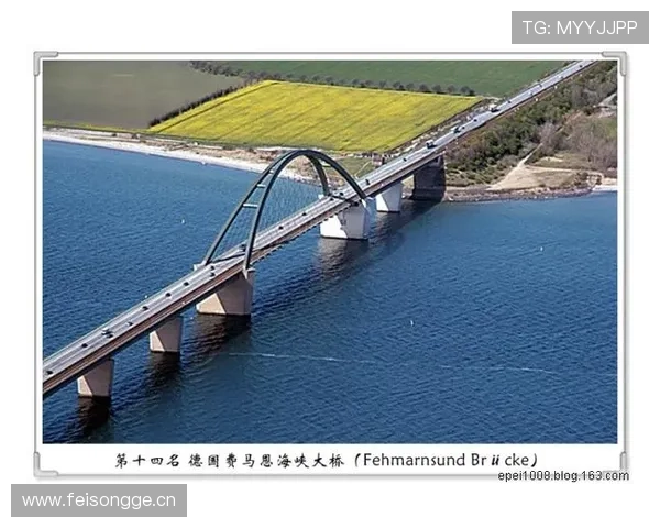 云开国际站促进国际商务交流与合作的桥梁与纽带