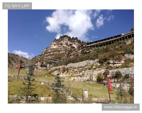 阴彩投注的历史与发展：阴彩投注在不同地区的演变过程