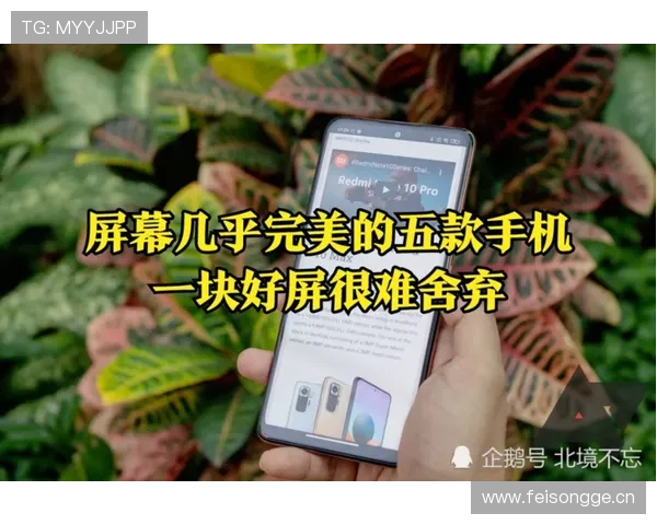 U体育旗舰厅客户端支持哪些设备安装,全面解析多平台使用方法 U体育旗舰厅客户端支持哪些设备安装,全面解析多平台使用方法