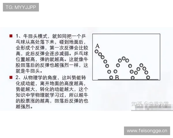 体育滚球ope比赛规则全面解析帮助新手快速入门
