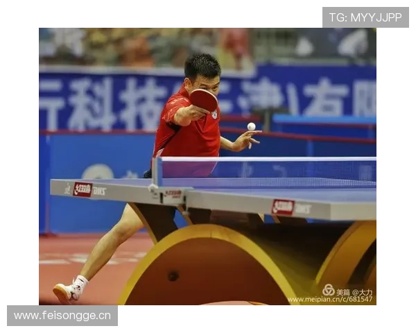 谈球吧体育平台用户评价与使用指南：帮助新手快速上手享受体育盛宴